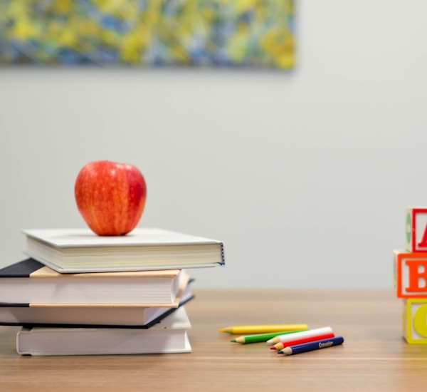 Student studying with tutor